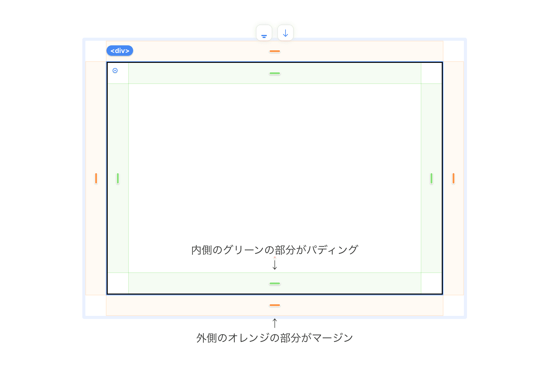 Margin(外側の余白)とPadding(内側の余白)の違いを示す図解